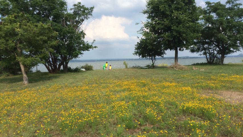 Hancock Lake Cottage - View